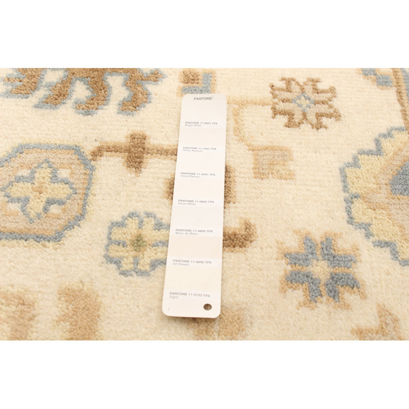 Tapis décoratif beige en laine de conception unique 3 pi 10 po x 5 pi 10 po derius noué à la main New Age