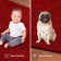 Modern Plush Solid Color Rug - Red, Pet and Kids Friendly Rug. Made in USA, Rectangle, Area Rugs Great for kids, Pets, Event, Wedding 