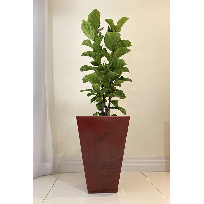 Pot à fleurs en résine Zurique, Rouge, H 21,65 po x l 14,96 po x 14,96 po