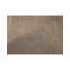 Striped Area Rug in Brown