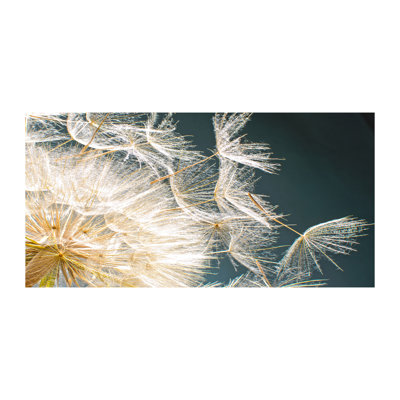 Dandelion Seeds - Wrapped Canvas Print