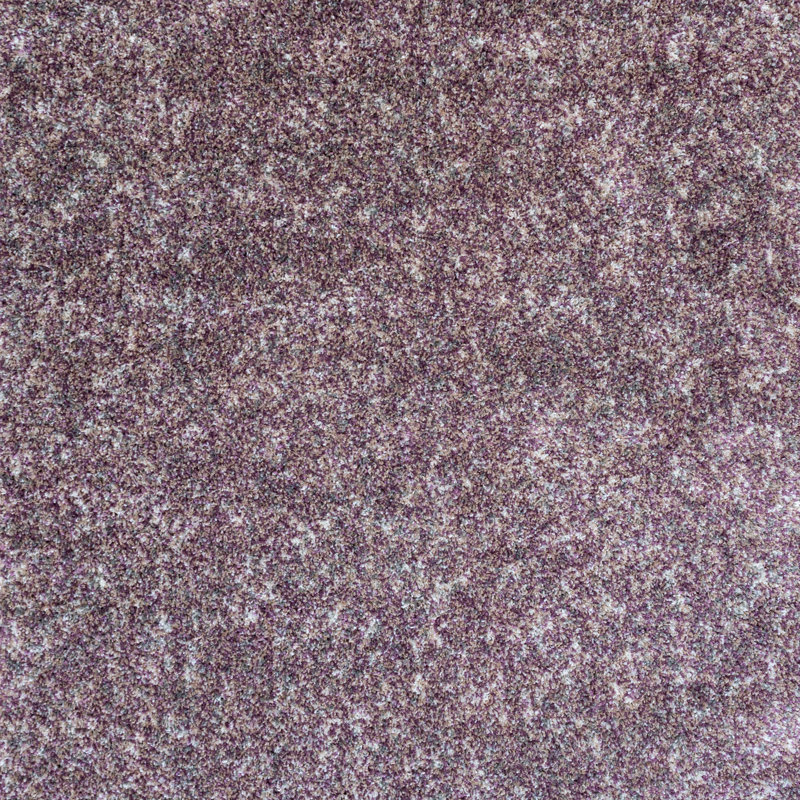 Dimitrov Shag Area Rug, Rectangle 120 x 170cm