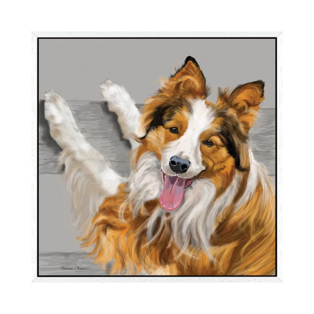 Collie von Vicki Newton - Galerie-verpackte Leinwand Giclée