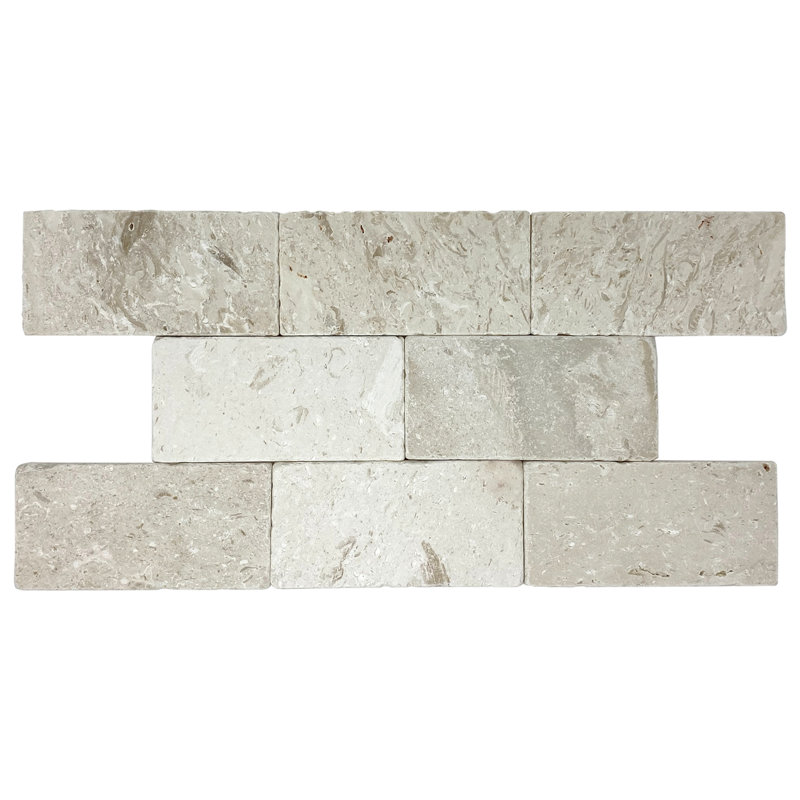 3" x 6" Subway Tile in Fossil Stone