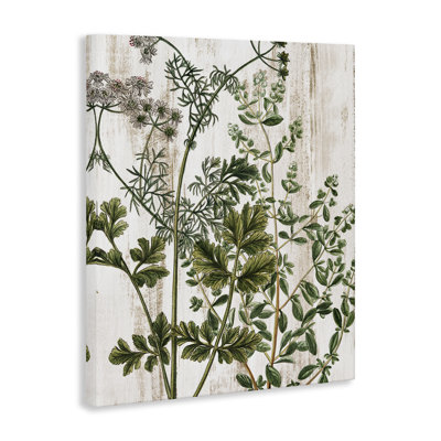 «Botanical Greenery», art mural sur toile par Kim Allen