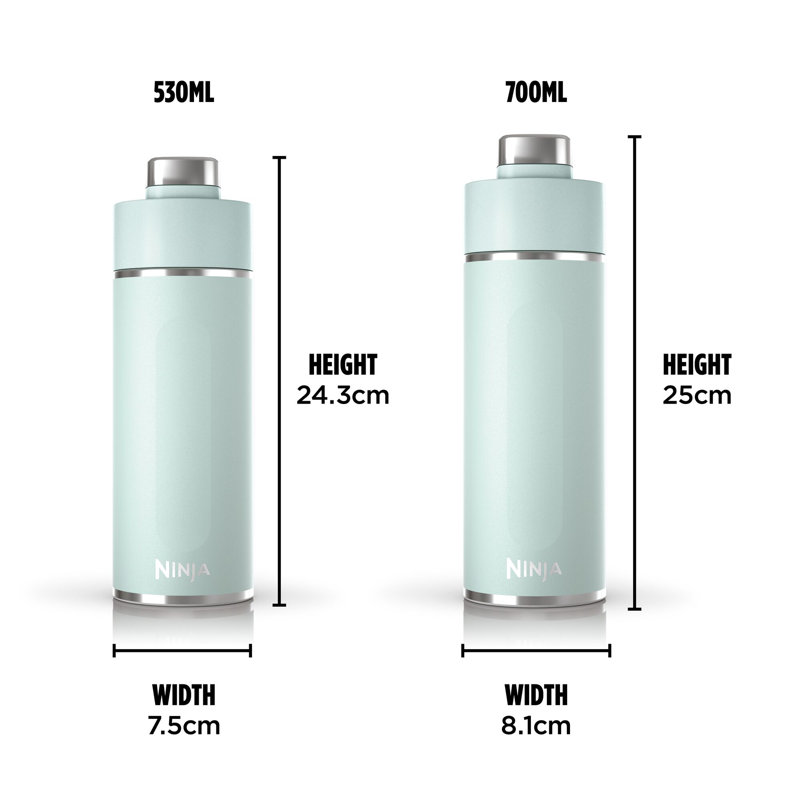 Ninja Thirsti 700 ml Travel Bottle DW2401EUUK, Mint