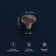 Refined Rustic Mushroom Knob Multipack