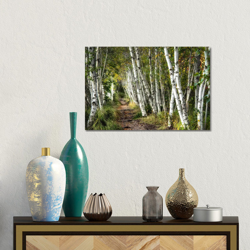 A Walk Through The Birch Trees by Danny Head - Print on Canvas, 152.5 cm H x 101.5 cm W x 3.175 cm D, Wrapped Canvas