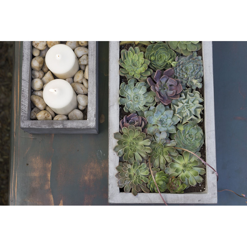 Newport Planter 31.5"x 7"x 4"
