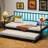 Space - Saving Twin Daybed With Trundle, Black Metal Bed Frame, Corrosion And Robust, Under Storage, Fits Different Room Designs Nicely, Fast Assembly Effort Stable, Blends Well Decor, Effortless