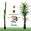 Arbre artificiel artificiel 78,74 po Dracaena-1884110529