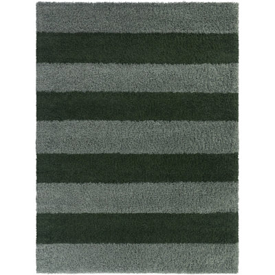Brodie Green Striped Shag Area Rug