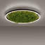 5-Light 35cm Flush Mount