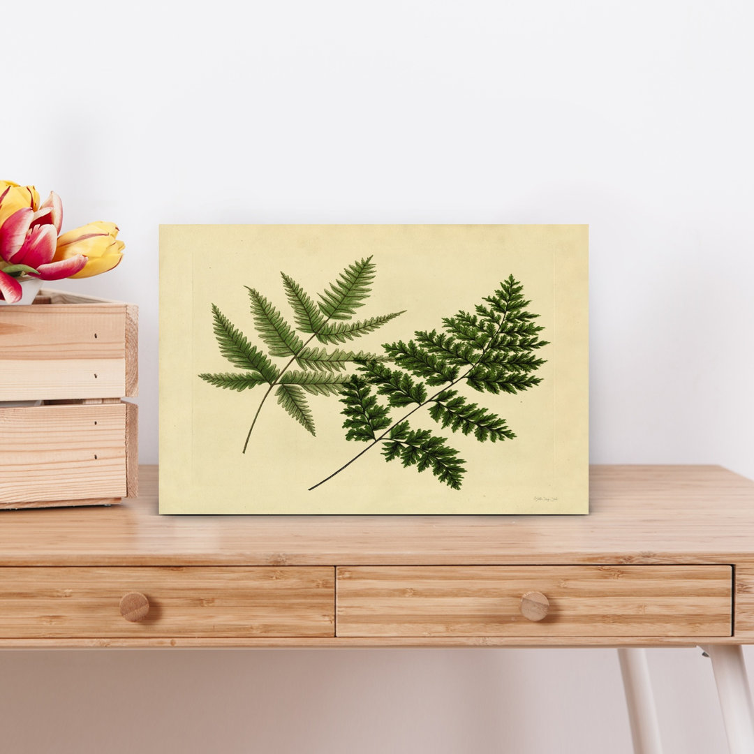Antique Ferns 1 Abstract Contemporary Fern Landscape Nature Wall Art Print
