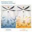 142cm 5 - Blade Reversible Ceiling Fan With LED Light and Remote Control