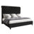 Jampier King Black Diamond-Tufted Velvet Sleigh Bed with Nailhead Trim-1672255048-1672255051