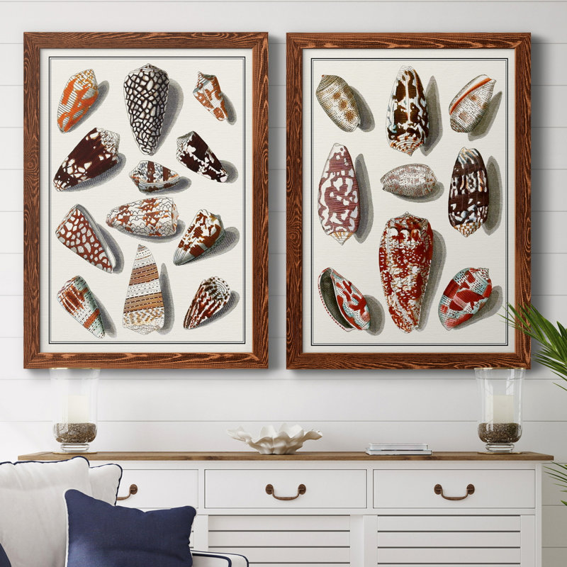 " Collected Shells V " 2 - Pieces, Maple Framed Canvas, 43.5" H x 31.5" W x 1" D, No Mat