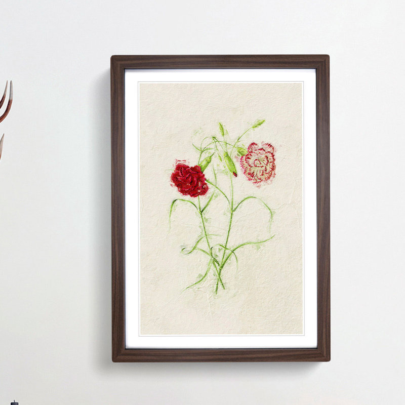 Illustration of Pink Carnation Flowers - Picture Frame Painting Print, 36cm H x 27cm W x 2cm D, Walnut Framed