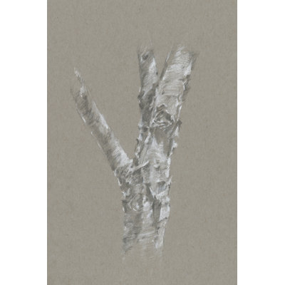 Chalk Birch Study II by Ethan Harper - Drawing Print