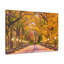 No Frame Print on Canvas-561699501