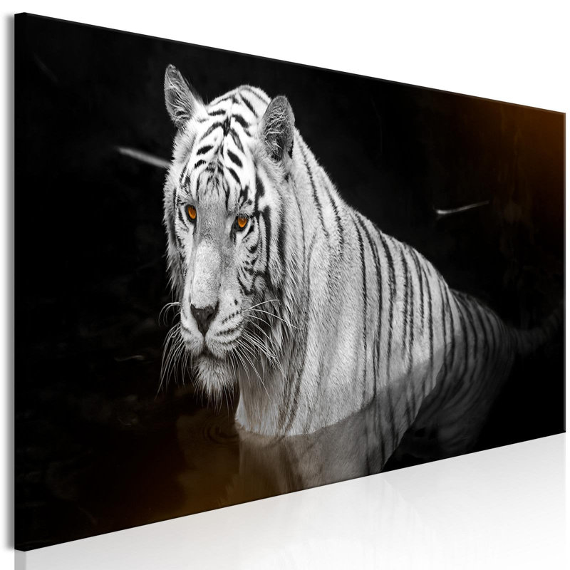 " Shining Tiger ", 18" H x 53" W x 0.7" D, Multicolor Orange