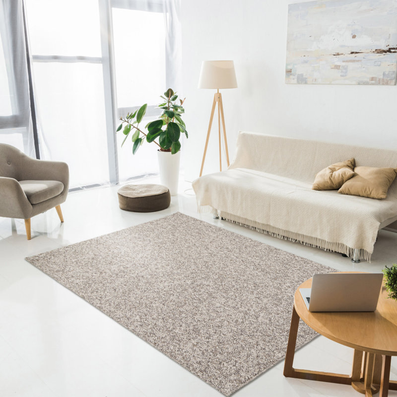 Rizwana Machine Washable Taupe Area Rug, Rectangle 200 x 290cm
