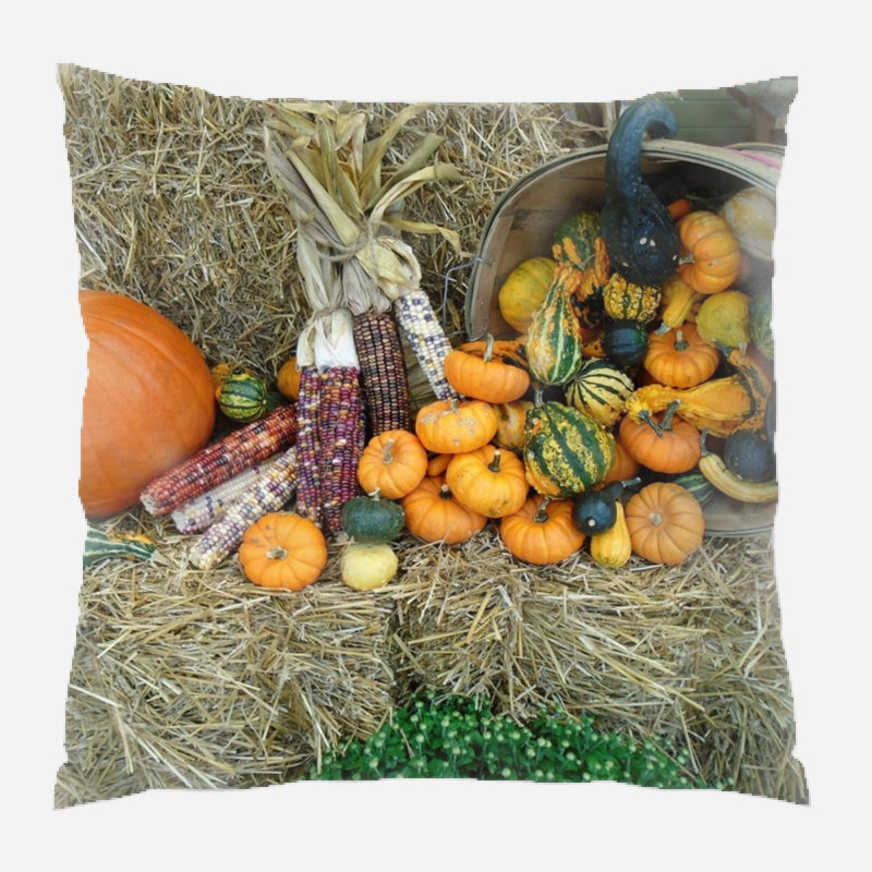  Coussin décoratif intérieur / extérieur Fall