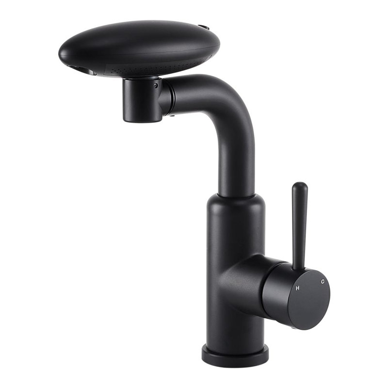 Belfry Kitchen Pull Out Kitchen Faucet