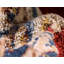 Edens Oriental Indoor Rug-29178577
