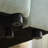 94.49''Sleeper Sofa-1360118455