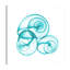 Turquoise Sky Snails - Wrapped Canvas Print-1321637375