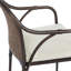 Graciela Outdoor Dining Armchair