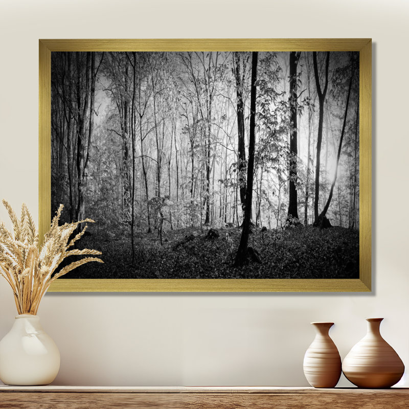 «Beautiful Forest Morning Panorama», reproduction, Cadre doré, H 24 po x l 32 po