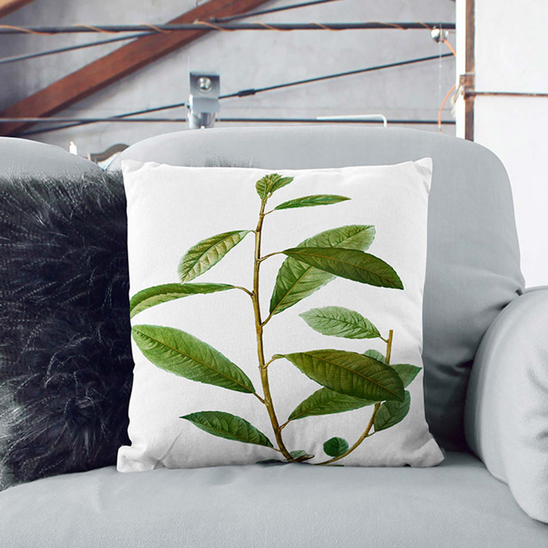 Willow Tree Branch by Pierre-Joseph Redoute Cushion with Filling, 55cm H x 55cm W x 20cm D, Stone