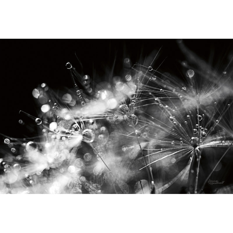 Up, On Black, Black And White, 24" H x 36" W x 1.5" D
