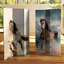 6 Ft. Tall Double Sided Peacocks Canvas Room Divider-1037868836