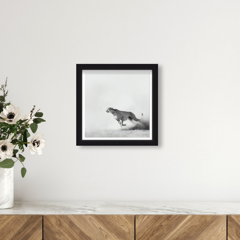 Cheetah Run Print by Oliver Gal, 13.5" H x 13.5" W, Black Shadowbox