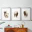 «Rustic Bull II», impression encadrée sur mesure de qualité supérieure mate - 3 pièces-945681903
