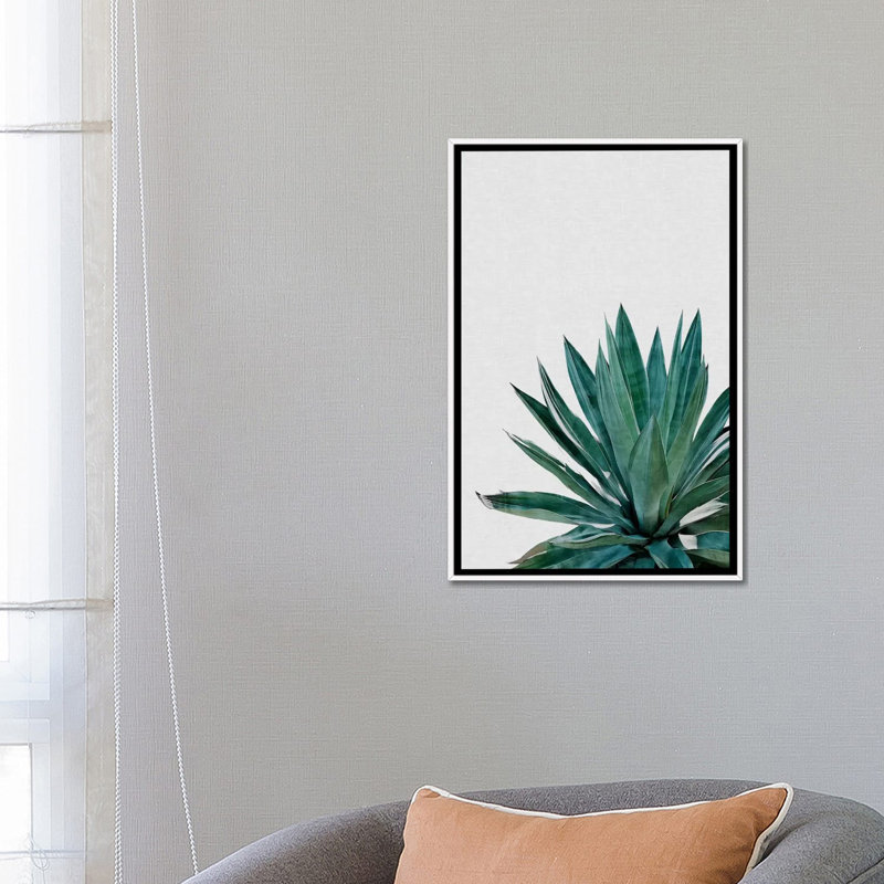 « agave cactus »-impression photographie, H 60 po x l 40po x P 1,5 po, Toile blanche encadrée