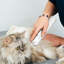15cm H x 3.2cm W x 2.5cm D Plastic Cat；Dog Wash Kits
