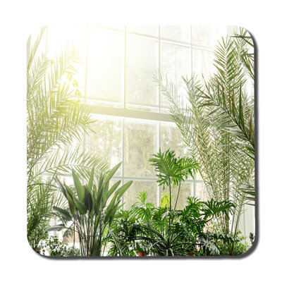 Square 6 Piece Coaster Set