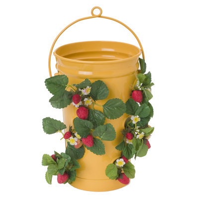 Blaker Metal Hanging Planter