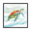 Tortue des tropiques I-35539246-72410615-72410616