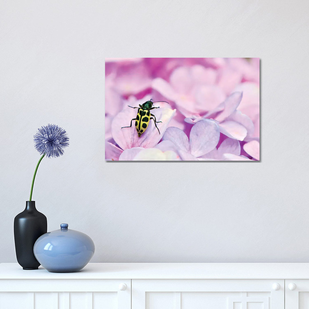 Bug by Glauco Meneghelli - Wrapped Canvas Print