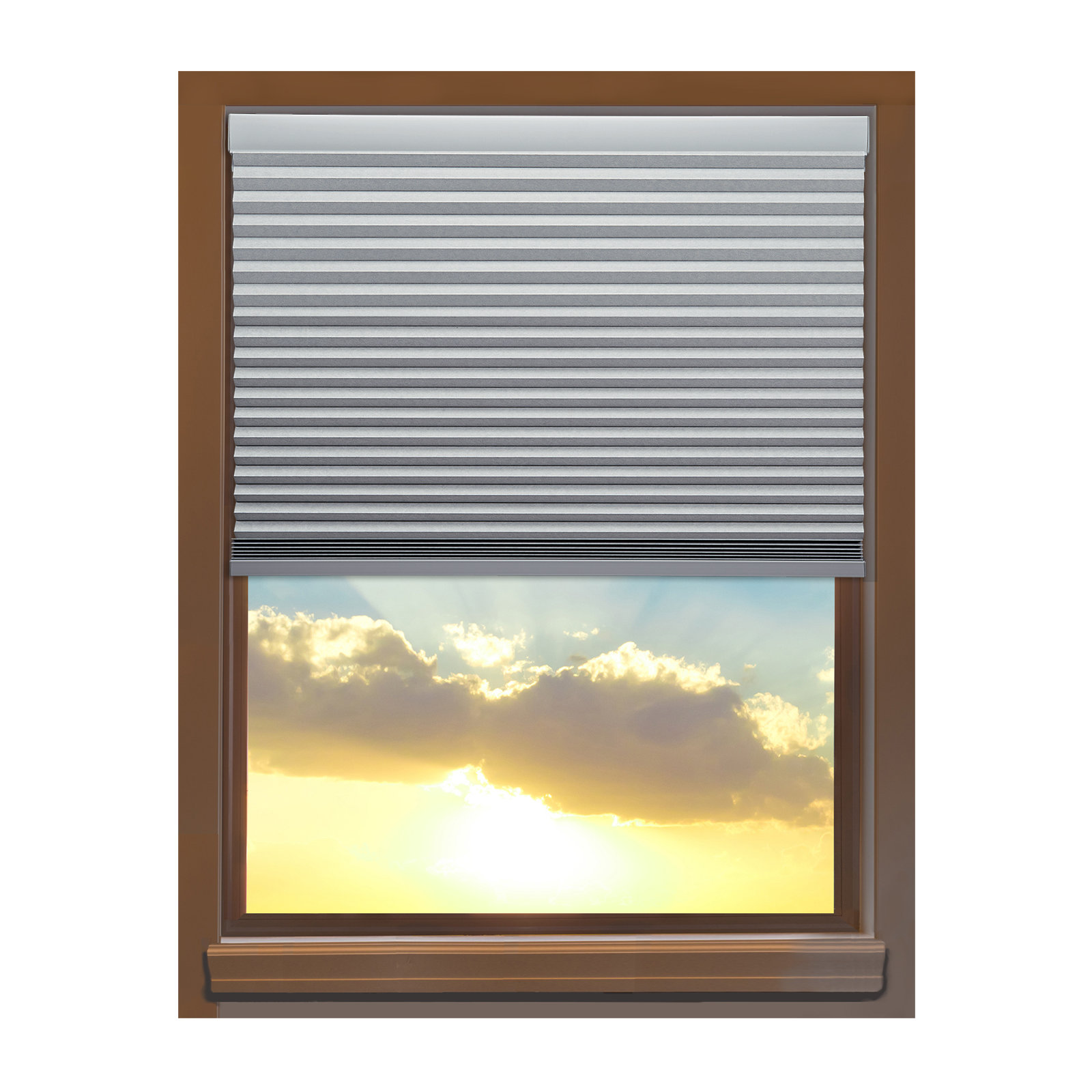Custom Cordless 70" W Blackout Cellular Shade, 54"L, Platinum, 23"W