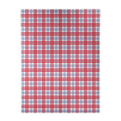 Plaid Indoor Rug
