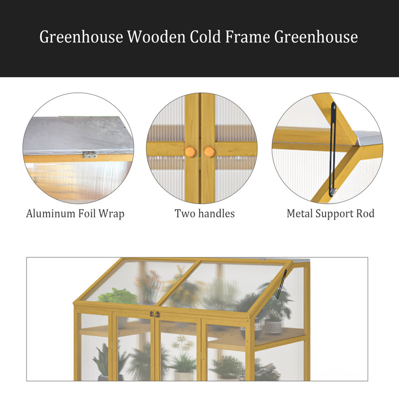 Serre, abri de jardin en bois en polycarbonate pour plantes, serre en bois, serre froide