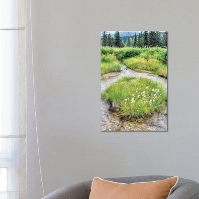 Alaska Marshland 1 Piece Wall Art on Canvas