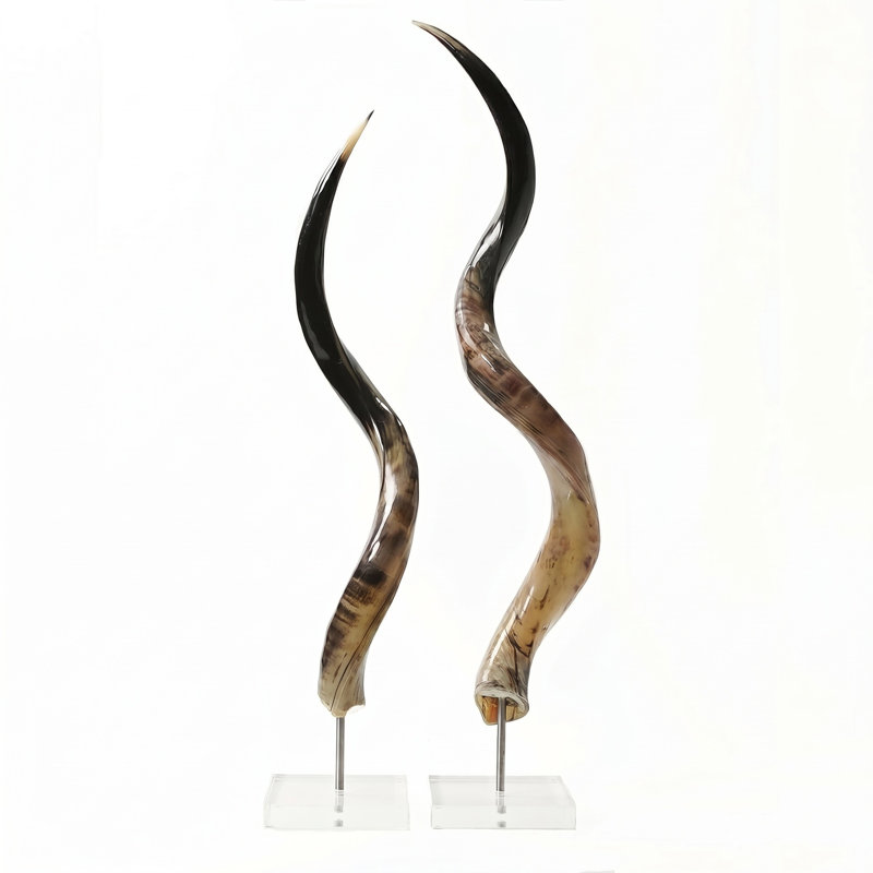 Polished Kudu Horn on Lucite Stand, 32"