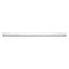 Grandis 0.6 x 12 Thassos Marble Honed Pencil Trim Tile (0.5 Sq Ft/Case) - 10 Pack